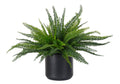Plante synthétique fougère avec pot en céramique pour salon et bureau