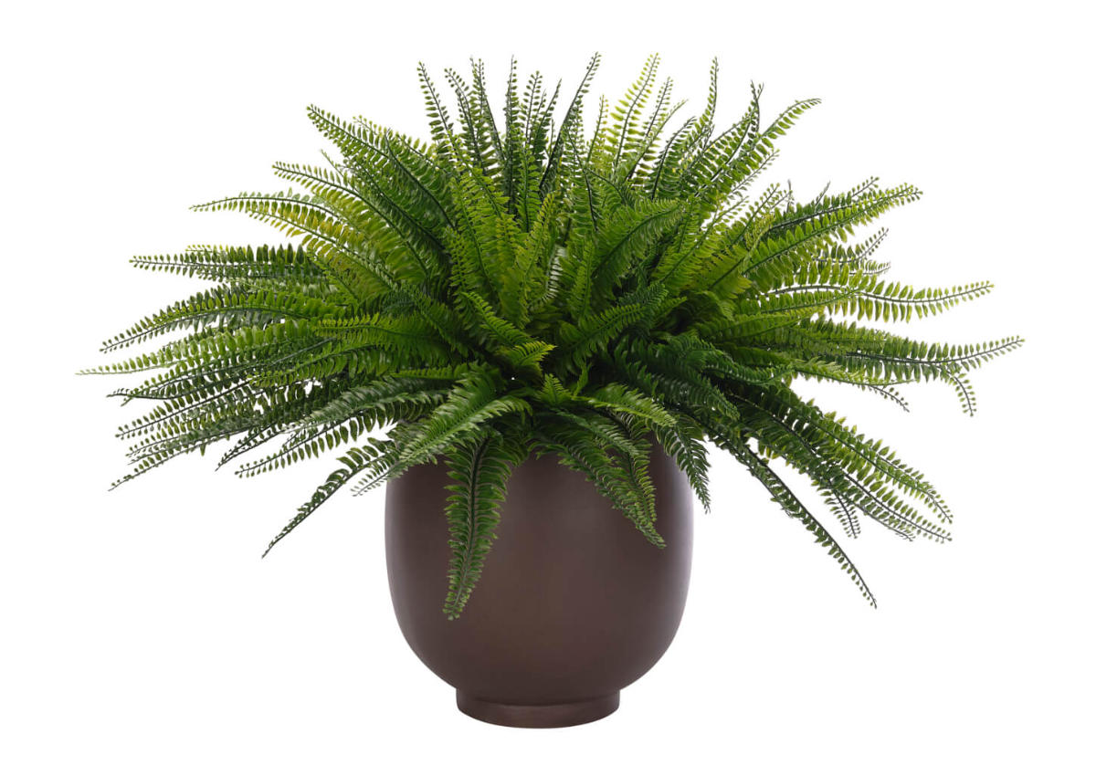 Plante synthétique fougère avec pot en béton pour entrée et salon