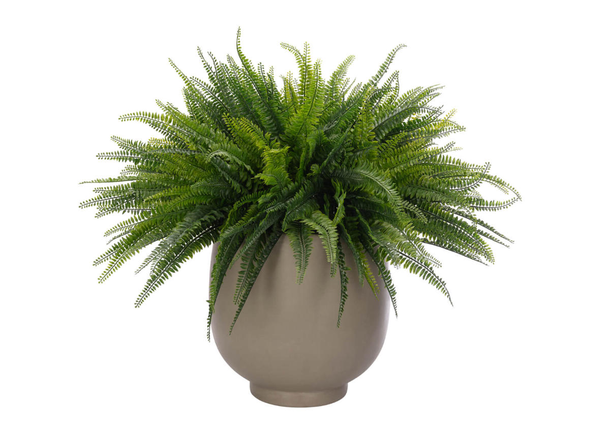 Plante de fougère artificielle botanique avec jardinière en béton pour bureau et salle à manger