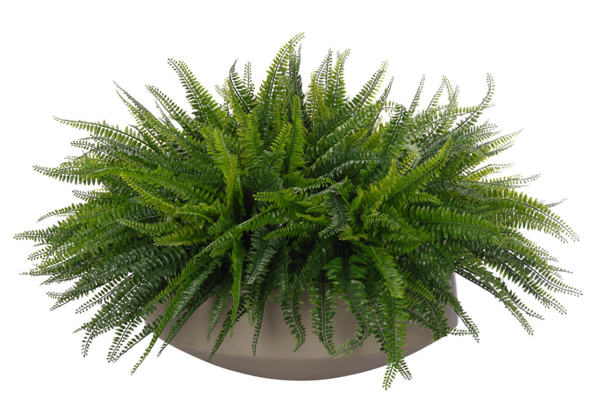 Plante artificielle de fougère botanique avec jardinière en ciment pour salon et balcon