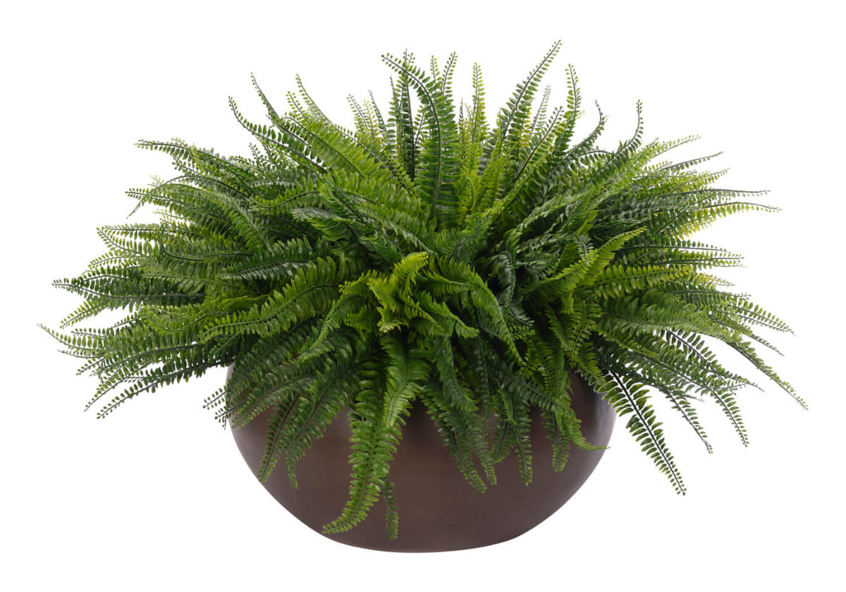 Plante de fougère synthétique botanique avec pot en béton pour salon et balcon