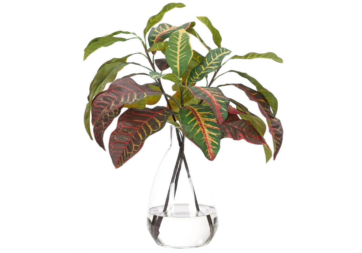 Plante de croton synthétique moderne avec vase en verre transparent pour salon et bureau