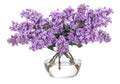 Tiges de lilas romantiques en verre violet avec vase en verre transparent pour salle à manger et chambre à coucher