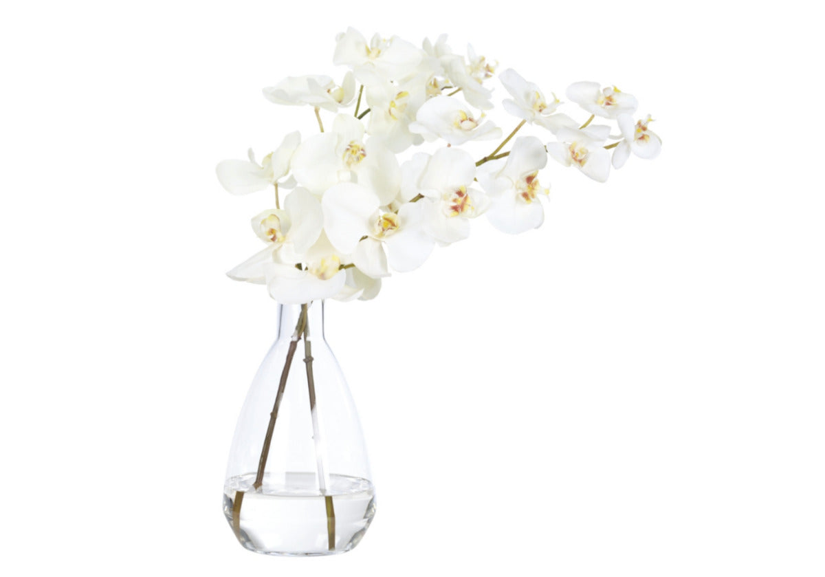 Orchidée Phalaenopsis blanche minimaliste en verre synthétique avec vase en verre transparent pour salon et bureau