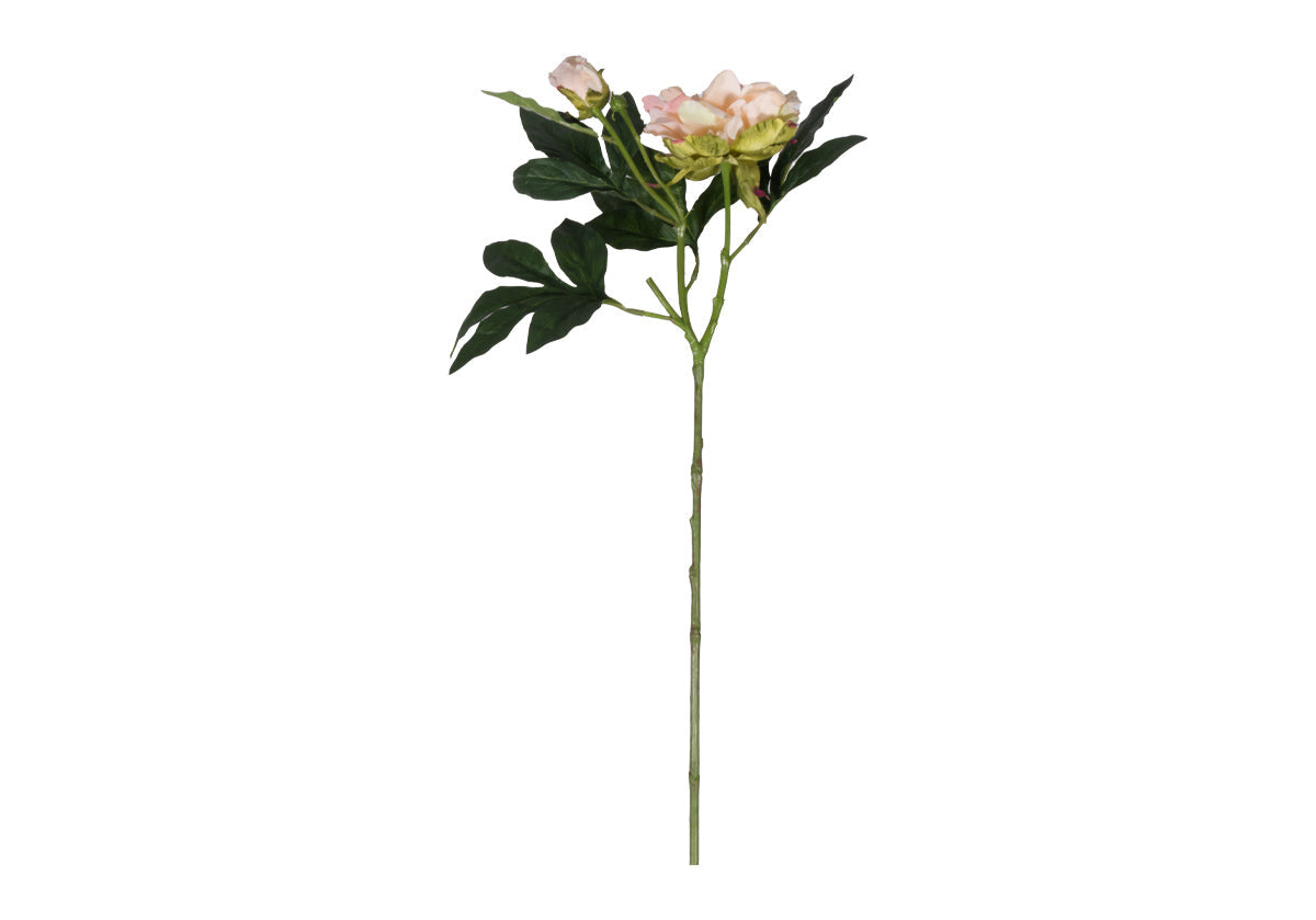 Tige de pivoine romantique en soie avec fleur épanouie blush pour le salon et la salle à manger