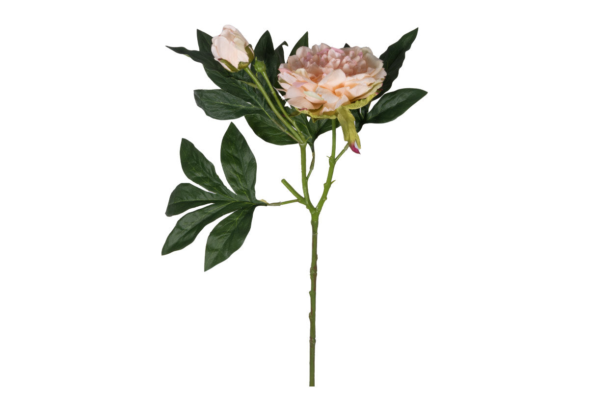 Tige de pivoine romantique en soie avec fleur épanouie blush pour le salon et la salle à manger