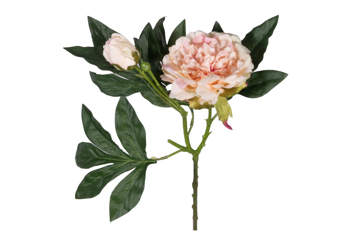 Tige de pivoine romantique en soie avec fleur épanouie blush pour le salon et la salle à manger