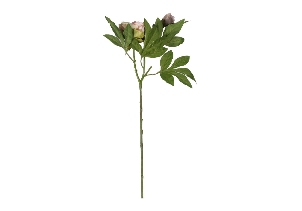 Tige de pivoine romantique en soie avec fleur épanouie blush pour le salon et la salle à manger