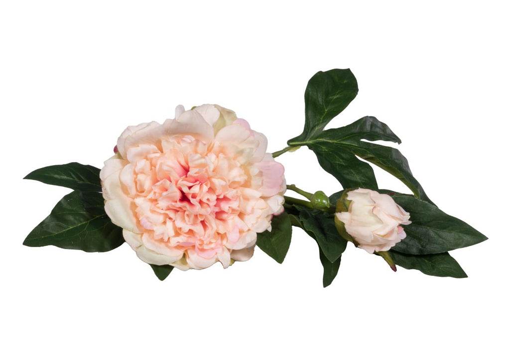 Tige de pivoine romantique en soie avec fleur épanouie blush pour le salon et la salle à manger