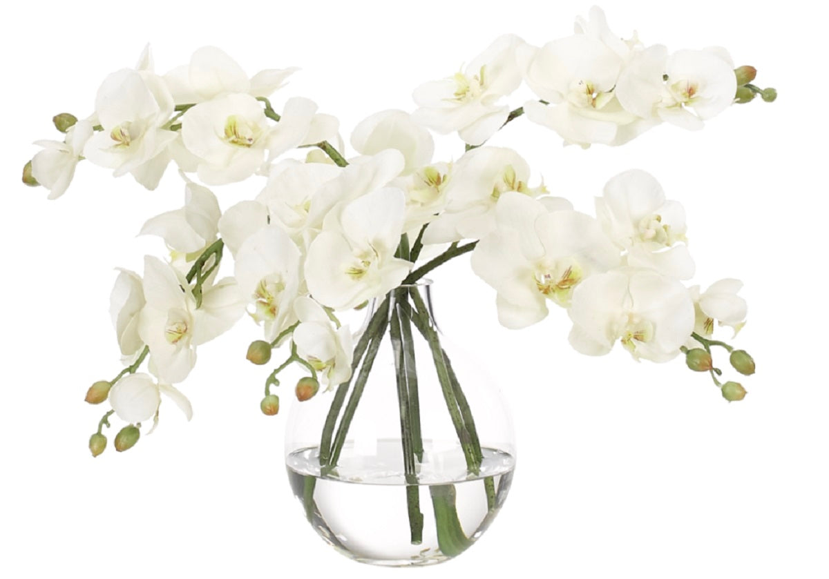 Orchidée Blanche Synthétique Minimaliste en Verre avec Vase Bulle Transparent pour Salon et Chambre à Coucher